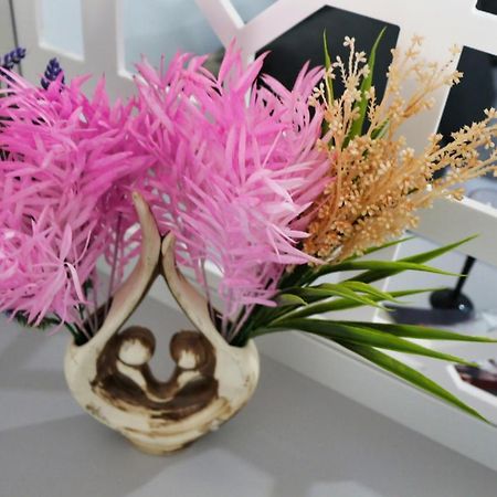 Cozy Flowers Studio - Fast Wi-Fi & Washer-Dryer Braşov Exterior foto